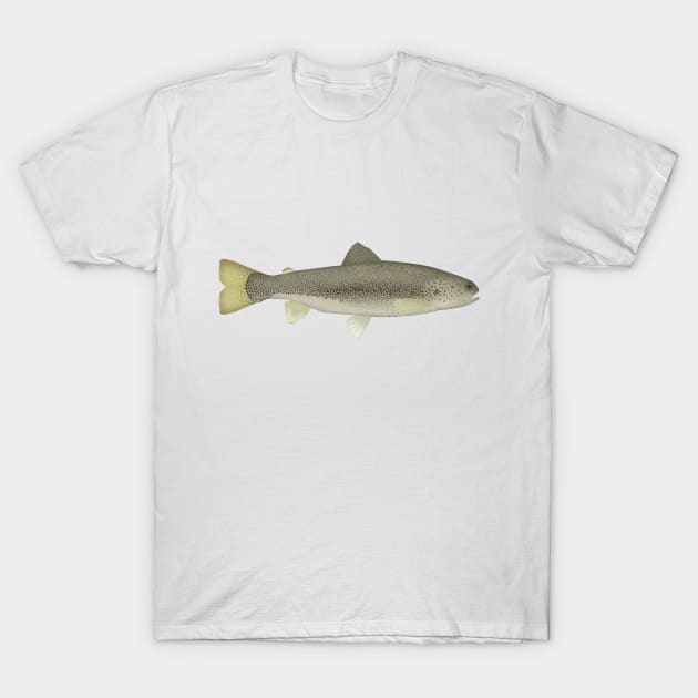 Draa Trout T-Shirt by FishFolkArt